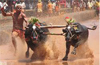 Organisers, lovers welcome Centre&rsquo;s move on Kambala